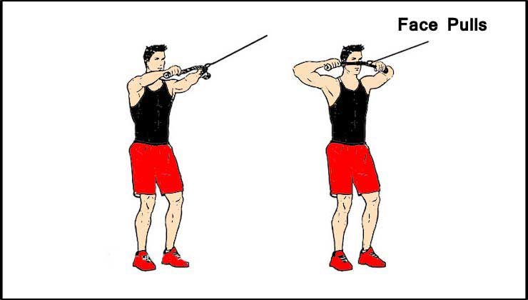 Face Pulls For