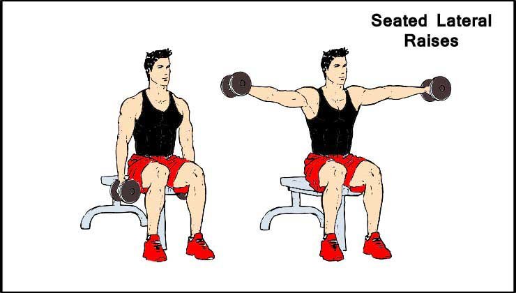 Seated Lateral Raises