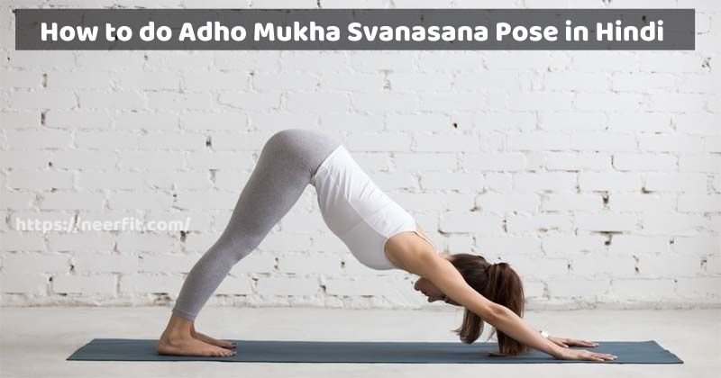 How to do Adho Mukha Svanasana Pose in Hindi