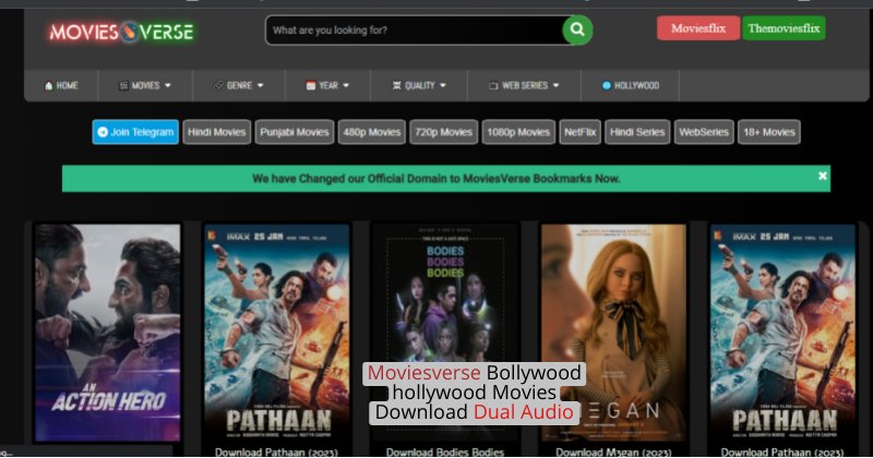 Moviesverse Download Hollywood Bollywood Dual Audio Hindi Movies
