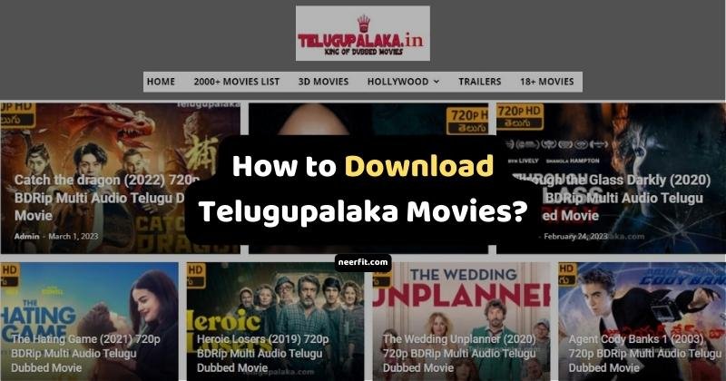 Telugupalaka Movies